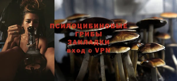 дурь Козельск