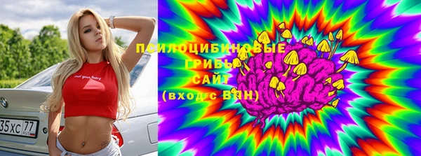 ешки Кодинск