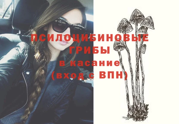 дурь Козельск