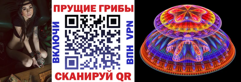 Купить  Весьегонск  Псилоцибиновые грибы Magic Shrooms 