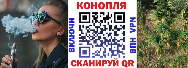 Бошки Шишки MAZAR  Купить где  Весьегонск 